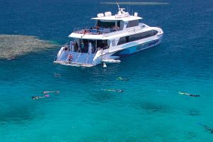 dream-package-reef-raft-hostel-cairns